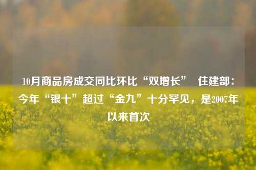 10月商品房成交同比环比“双增长”  住建部：今年“银十”超过“金九”十分罕见，是2007年以来首次