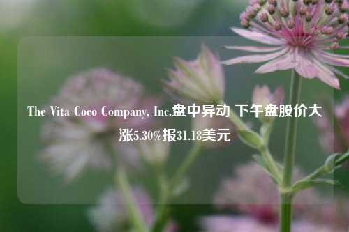 The Vita Coco Company, Inc.盘中异动 下午盘股价大涨5.30%报31.18美元