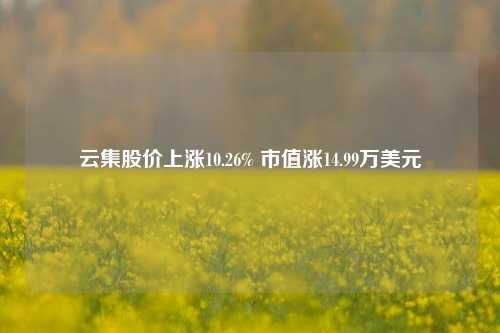 云集股价上涨10.26% 市值涨14.99万美元