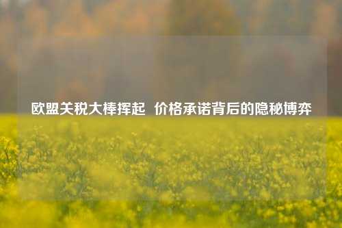 欧盟关税大棒挥起  价格承诺背后的隐秘博弈