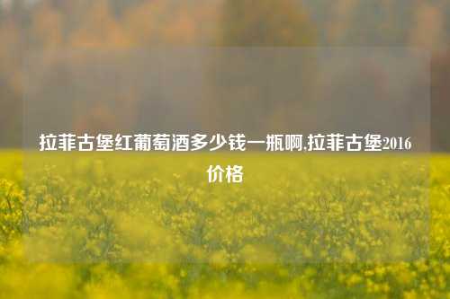 拉菲古堡红葡萄酒多少钱一瓶啊,拉菲古堡2016价格