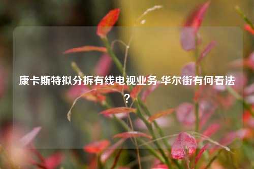 康卡斯特拟分拆有线电视业务 华尔街有何看法？  第1张