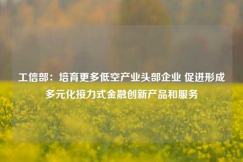 工信部：培育更多低空产业头部企业 促进形成多元化接力式金融创新产品和服务  第1张