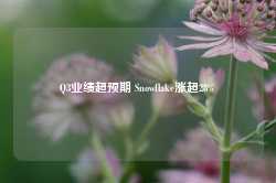 Q3业绩超预期 Snowflake涨超28%-第1张图片-拉菲红酒总代理加盟批发官网